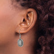 Stainless Steel Polished and Antiqued CZ Shepherd Hook Earrings - Birthstone Company