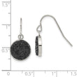Stainless Steel Polished Black Crystal Shepherds Hook Earrings - Birthstone Company