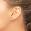 Stainless Steel CZ Dec Birthstone Polished Post Earrings - Birthstone Company