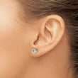 Stainless Steel CZ June Birthstone Polished Post Earrings - Birthstone Company