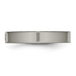 Titanium Polished Flat Comfort Back CZ Ring - Birthstone Company