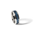 Titanium Polished w/ Blue Carbon Fiber Inlay Band - Birthstone Company