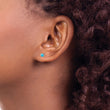 Titanium Brushed Blue Turquoise Stud Earrings - Birthstone Company