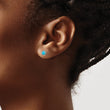 Titanium Brushed with Turquoise 5mm Stud Earrings