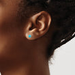 Titanium Brushed Blue Turquoise Stud Earrings - Birthstone Company