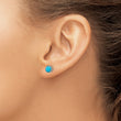 Titanium Brushed Blue Turquoise Stud Earrings - Birthstone Company