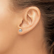Titanium Polished 6mm Ball Post Earrings - Birthstone Company