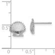 14K White Gold Scallop Shell Post Earrings