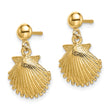 14K Polished Scallop Shell Dangle Earrings