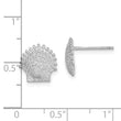 14K White Gold Beaded Scallop Shell Post Earrings