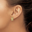 14K Land Turtle Post Earrings