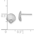 14K White Gold Scallop Shell Post Earrings