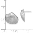 14K White Gold Clam Shell Post Earrings