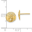 14K Polished Mini Sand Dollar Post Earrings