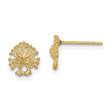 14K Mini Sand Dollar Post Earrings