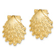 14K Lion's Paw Shell Post Earrings