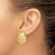 14K Lion's Paw Shell Post Earrings