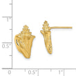 14K 2-D Conch Shell Post Earrings