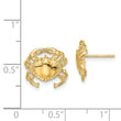 14K Polished / 2-D Crab Post Earrings
