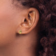 14k Polished Shell Post Earrings