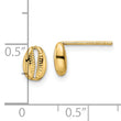 14k Polished Shell Post Earrings