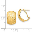 14K Textured Omega Back Earrings