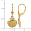 14K 2-D and Textured Scallop Shell Leverback Earrings - Birthstone Company
