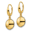 14K Two-tone Polished D/C Hollow Round Criss Cross Leverback Earrings