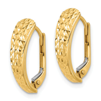 14K Polished and Diamond-cut Leverback Earrings - Birthstone Company