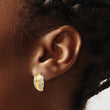 14K with White Rhodium Polished and Diamond-cut Leverback Earrings