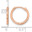 14K Rose Gold Polished Hinged Hoop Earrings - Birthstone Company