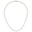 14K White Gold White Freshwater Cultured Pearl Necklace 5-6mm - Birthstone Company