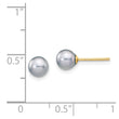 14K 5-6mm Grey Round Freshwater Cultured Pearl Stud Post Earrings