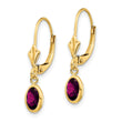 14K 6x4 Oval Bezel June/Rhodolite Leverback Earrings - Birthstone Company