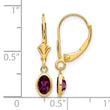 14K 6x4 Oval Bezel June/Rhodolite Leverback Earrings - Birthstone Company