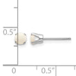 14K White Gold 4mm Opal Stud Earrings - Birthstone Company