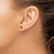 14K Diamond & Garnet Birthstone Earrings - Birthstone Company