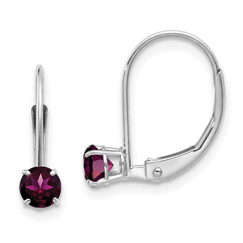 14K WG 4mm Round June/Rhodolite Leverback Earrings