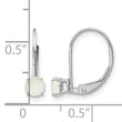 14K White Gold 4mm Round October/Opal Leverback Earrings - Birthstone Company