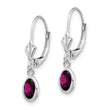 14K White Gold 6x4 Oval Bezel June/Rhodolite Leverback Earrings - Birthstone Company
