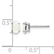 14K White Gold 6x4mm Opal Earrings - Birthstone Company