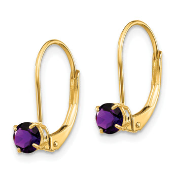 14K Amethyst Earrings February - Birthstone Company