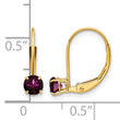 14K 4mm Round June/Rhodolite Leverback Earrings - Birthstone Company