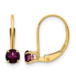 14K 4mm Round June/Rhodolite Leverback Earrings - Birthstone Company