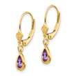 14k 6x4mm Amethyst/February Earrings - Birthstone Company