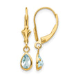 14k 6x4mm March/Aquamarine Earrings - Birthstone Company