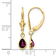 14k 6x4mm Rhodolite Garnet/June Earrings - Birthstone Company