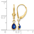 14k 6x4mm September/Sapphire Earrings - Birthstone Company
