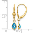 14k 6x4mm December/Blue Topaz Earrings - Birthstone Company