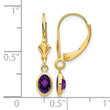 14k 6x4mm February/Amethyst Earrings - Birthstone Company